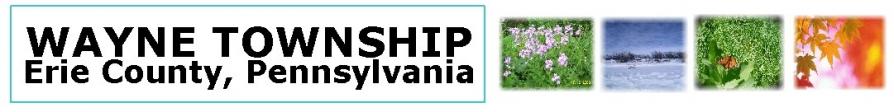 Seasonal Website Banner