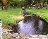 Staromwater Pond