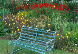 Summer Bench2