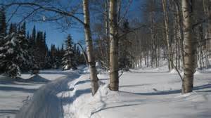 Winter Trail