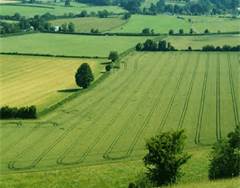 Farmland