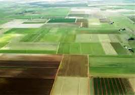 Plot Farmland