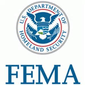 FEMA Logo